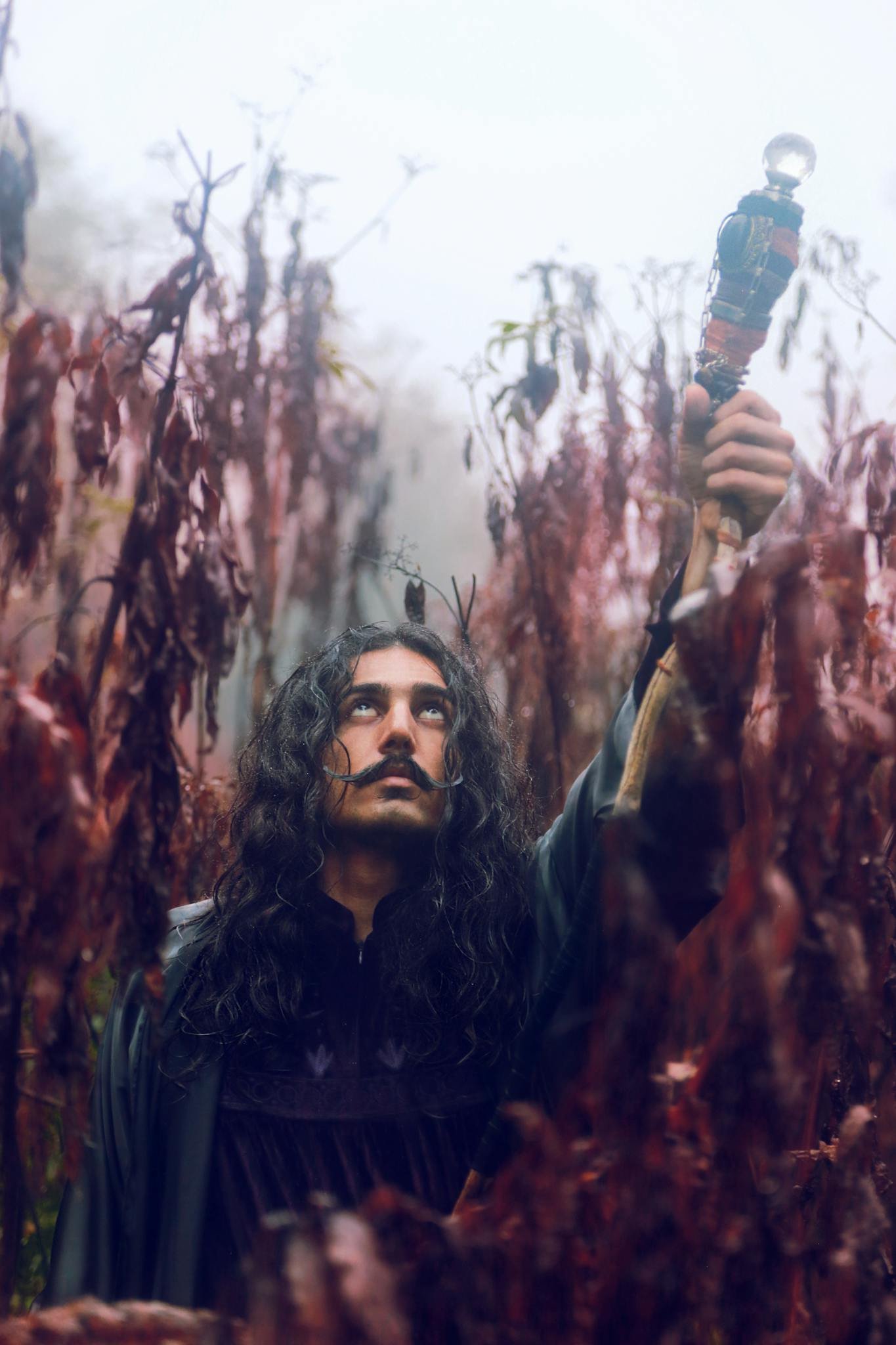 A mysterious wizard holding a staff stands in a foggy forest at dawn, surrounded by brown leaves and mystical ambiance.
